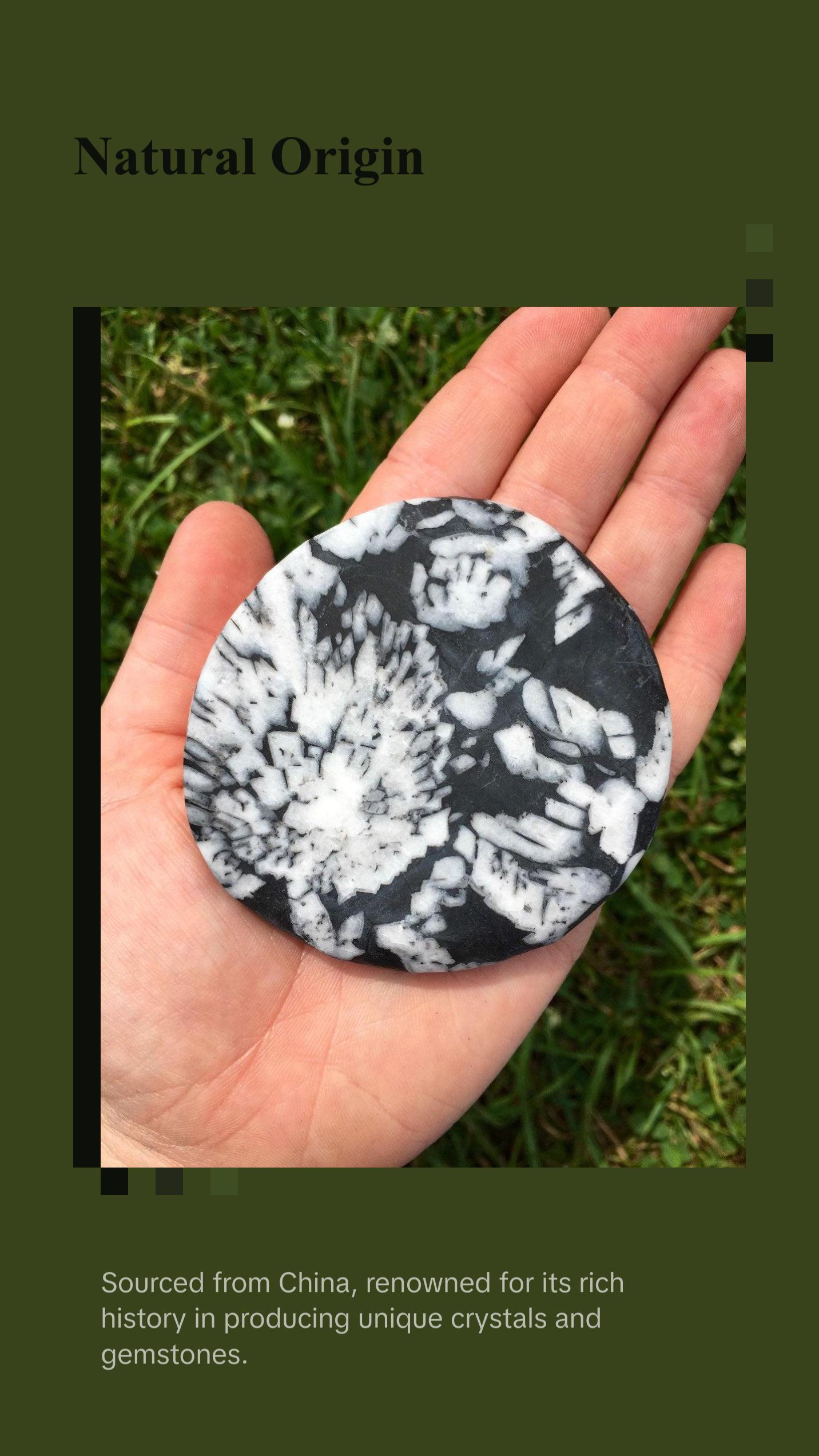 Chrysanthemum Palm Stone - Polished Stone Oval