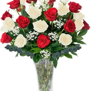 Christmas Flowers - Red & White Roses Fresh Flowers Delivery - 2 Dozen Roses for Delivery/Farmhouse Flowers for Delivery - Fresh Cut Long Stem Roses Bouquet of Flowers Birthday Gifts for Women