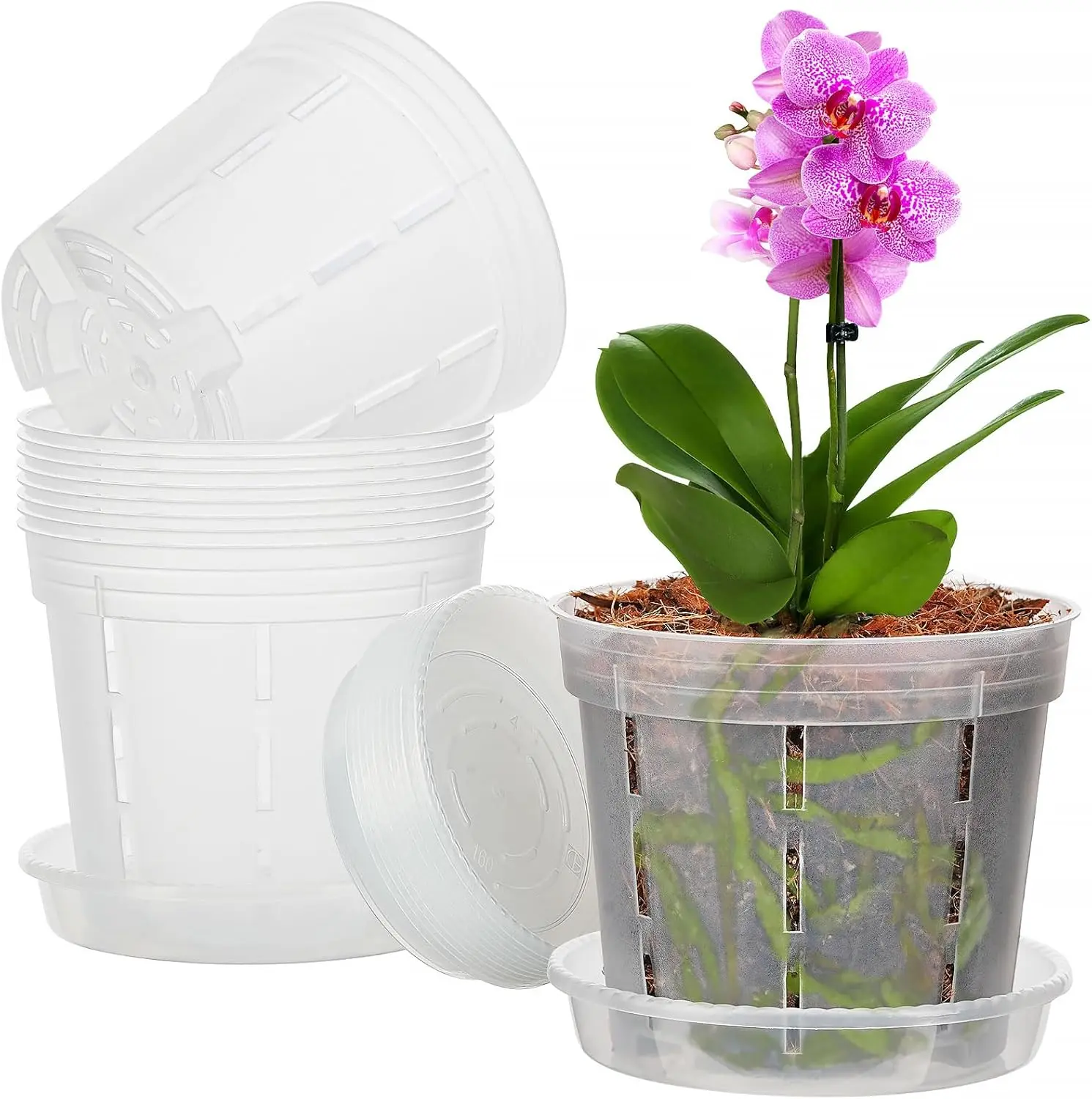Orchid Pot, 10 Pack 6 Inch Clear Orchid Pots with Holes and Saucers for Repotting, Breathable Plastic  Planters for Indoor Outdoor Spider ,  Violet