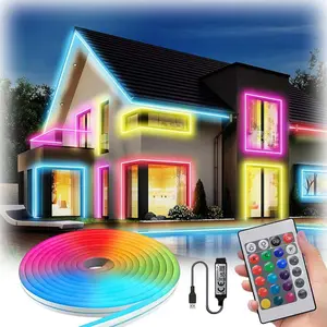 USB Powered Flexible LED Neon Light Strip, 24 Key Remote & APP Control, RGB Multi-Mode Atmosphere Lamp for Bedroom/living Room/indoor Decor