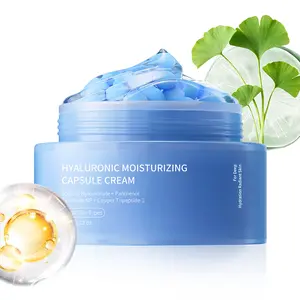 Hyaluronic Acid Capsule Face Cream, Water Shield Repair & Deep Hydrating Moisturizer with Dual Phase Suspension, Soothing Relief for Dryness & Irritated Skin
