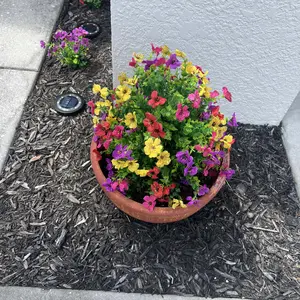 Artificial Flowers for Outdoor Indoor Garden Home Decoration, Plastic Faux Flowers, Faux Flower Daisy with Eucalyptus Leaves Fake Plants Greenery Boxwood Porch Patio