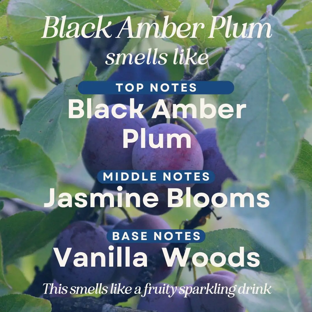 Black Amber Plum