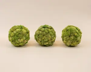 Moss Spheres - Pack of 3