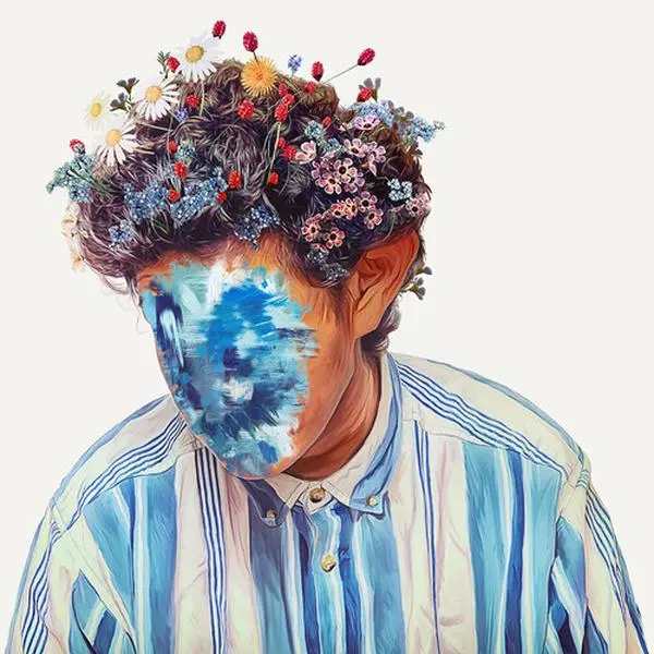 Fall Of Hobo Johnson - Hobo Johnson - Record Album, Vinyl LP