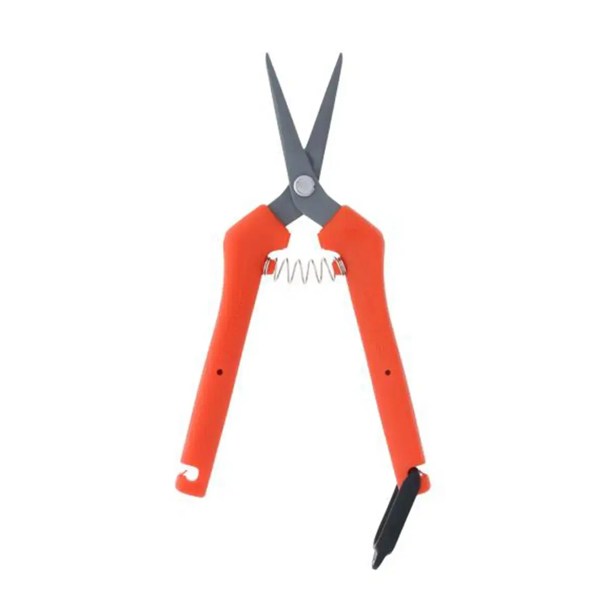 Chikamasa TP-500 SF Scissors