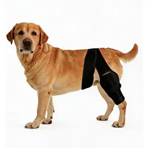 Dog Knee Brace for Leg, Adjustable Dog Braces for Torn ACL Support, Built in Side Stabilizers, Breathable Dogs Hip Brace for Arthritis Relief, Joint Stability and Post Surgery Recovery