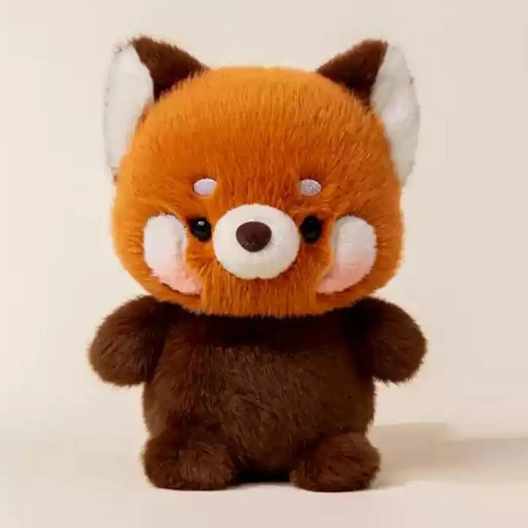 Little raccoon