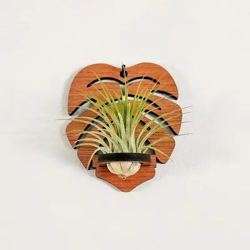 Leaf Shape Wooden Air Plant Pot Rack, Vintage Heart Shaped Reclaimed Wood Wall Decor, Succulent and Home Accessory Hanging Display Stand, Decoration, Plant Hanger Indoor