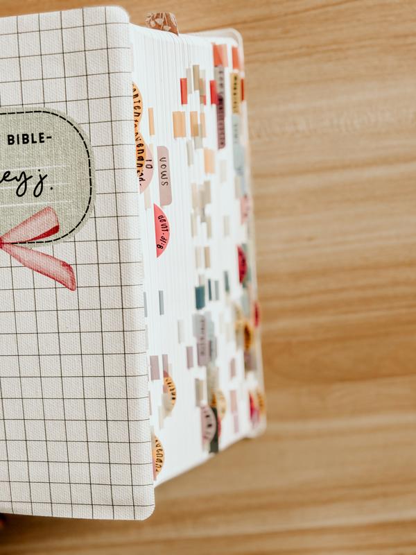 Mr. Pen Esther Bible Journaling Kit with 12 Dual Tip Highlighters, 6 .5mm Pens, Magnetic Bookmarks, Sticky Notes, & Bible Tabs