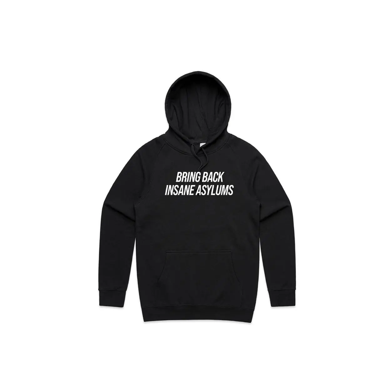 Bring Back Insane Asylums Hoodie 3.0