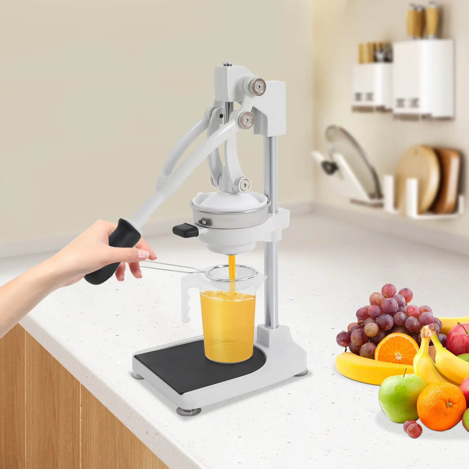 Manual Juicer 500ml, 304 Stainless Steel Fruit Press for Lemon Orange Pomegranate, Tabletop Squeezer with 2 Mold Types, Silver