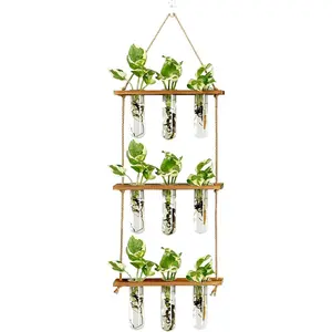 Wall Hanging Propagation Station with Wooden Stand Glass Test Tubes Tiered Planters Wall Terrarium for Home Office Plant Hanger Flower Vases Wall Decor Hydroponic Cuttings (9 Tube Vases)