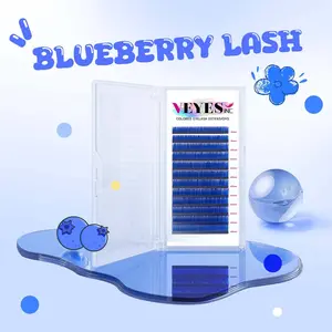 Veyes “Blueberry” Lash Extensions 0.07