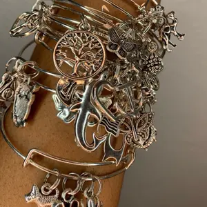 All over sliver Bangles