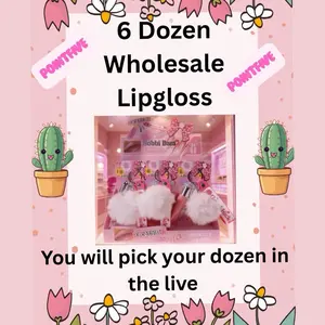Wholesale All in One MEDIUM Full Kit Set for Flawless Makeup 6 Dozen Lipgloss, Wholesale Lipglosses, Wholesale Lipcare