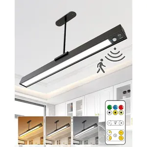 Sensor Ceiling Light, Full Pendant Lights, Battery Operated LED Closet Lights with Remote, Timer - 3 Color 500LM Dimmable, for,Black
