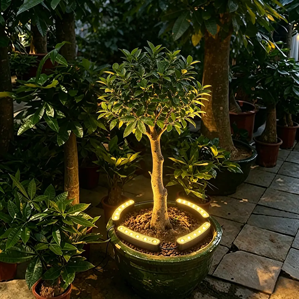 Solar curved landscape lights installed around a large outdoor planter
