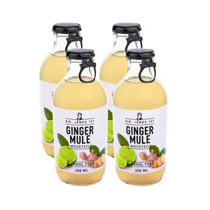 Sir. James 101 Alcohol-Free Ginger Mule | 4-pack