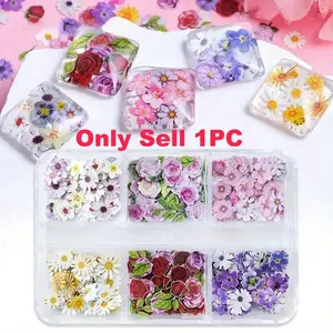 only sell 1PC Epoxy Resin Filler Kit, Dry Wood Pulp Flowers, 240pcs/box, Ideal for DIY Nail Art, Jewelry Making, Craft Decorations, Valentine's Day Gift, Handmade Embellishments