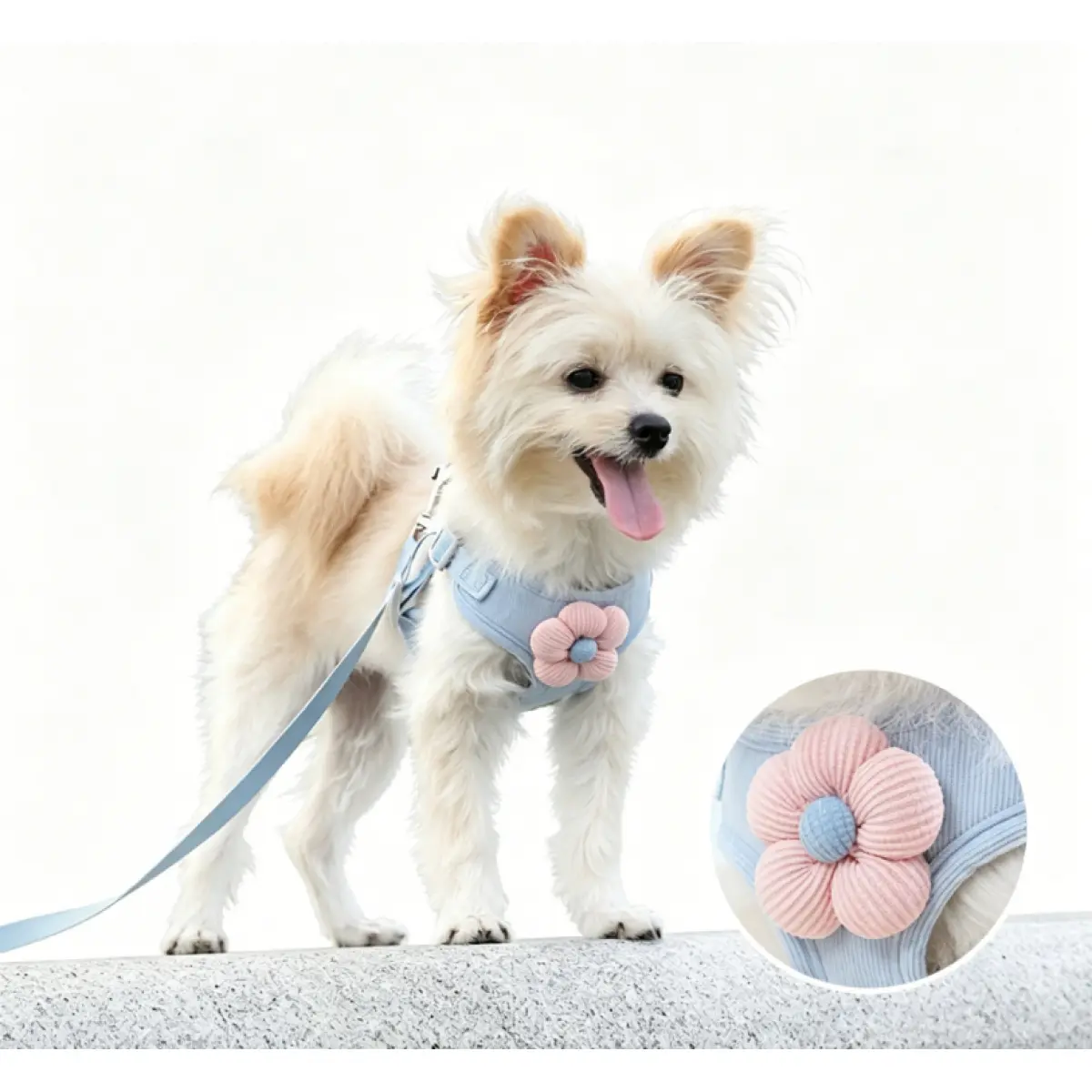 Puppy Harness Leash, Small Dog Vest Harness and Lead for Teddy, Bichon Frise, Pomeranian, Outdoor Walking Strap Chain for Mini Puppies