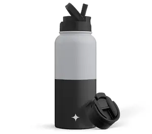 JoyJolt Insulated Water Bottle w/ Flip Lid & Sprt Straw