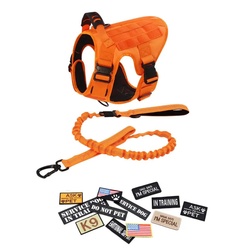 Orange Harness, leash & 12 Patches