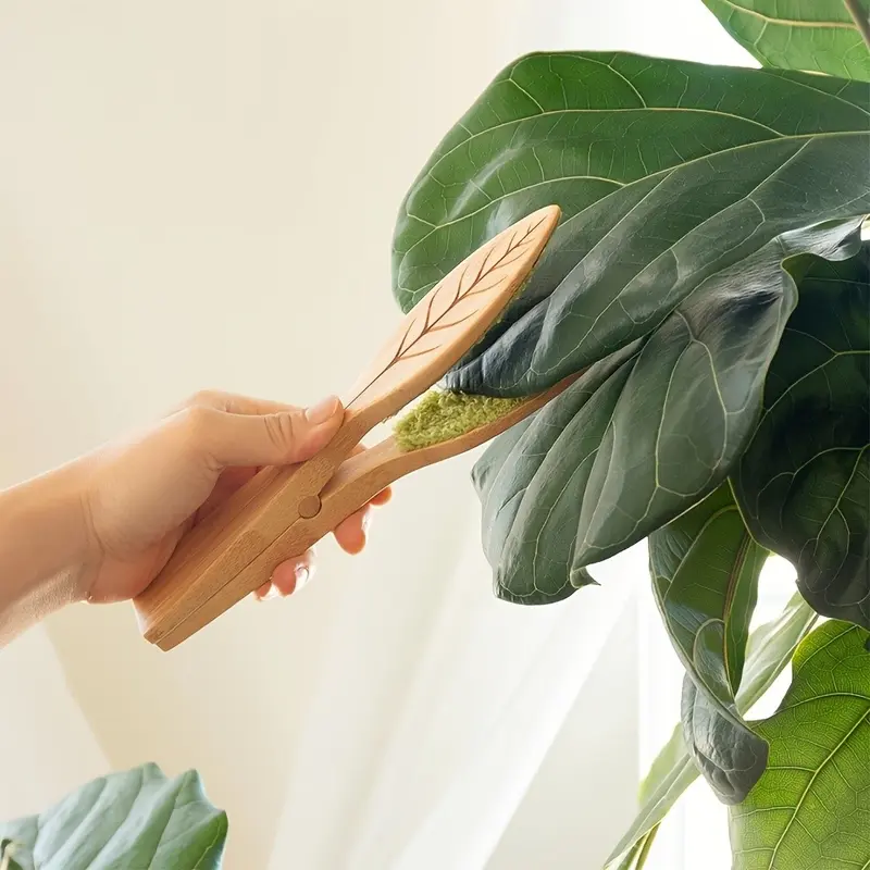 clean plant leaves - TikTok Shop