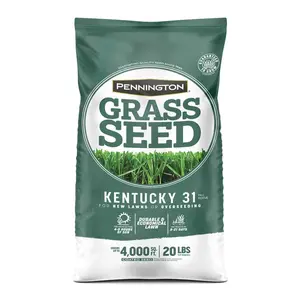 Pennington Seed 7016747 20 lbs Kentucky 31 Tall Fescue Medium Shade Grass Seed