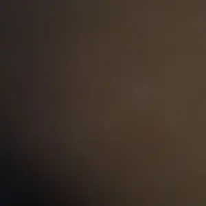 review image 4