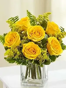 Classic Elegance Roses - Six Yellow