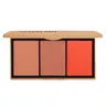JASON WU BEAUTY Blush Trio Palette - 3 flawless shades with a built-in mirror Makeup Powder