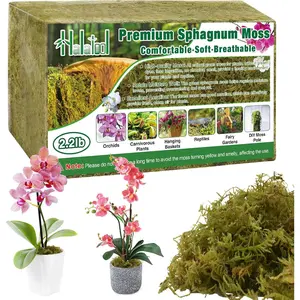 2.2LB  Sphagnum Moss for , 50QT Green Moss for  Indoor Potted Orchid Moss for Repotting Succulent Carnivorous Terrarium Gardening Reptiles