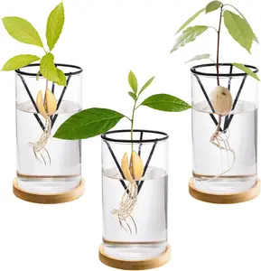 3 Pack Avocado Tree Growing Kits, Glass Avocado Seed Starter Vase with Metal Triangle Bracket and  Base, Avocado Pit Sprouting  Pot Glass Bottle for Gardening Lovers  Decor