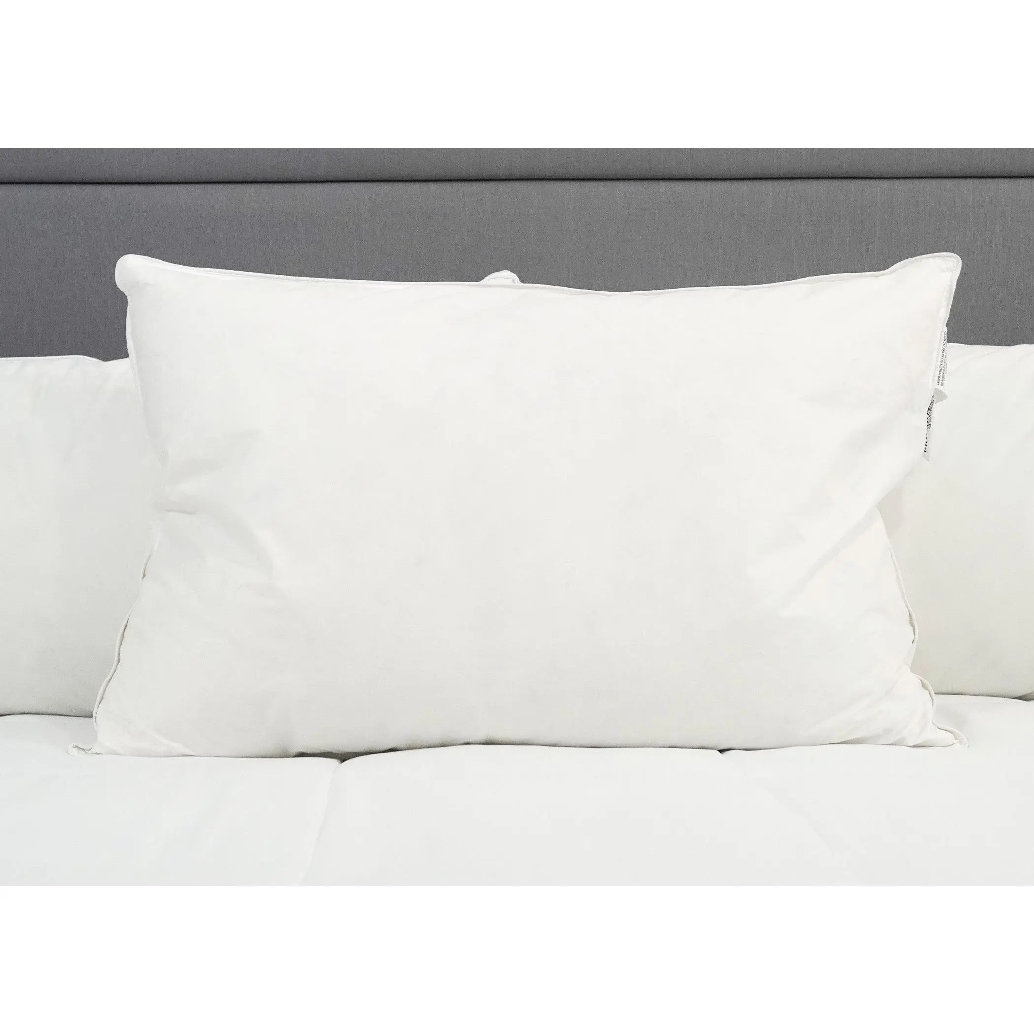 Pillowtex White Goose Down & Feather Pillow | 75% Feather/25% Down