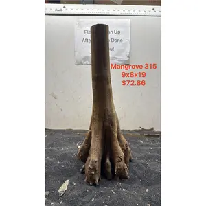 Mangrove Tree Stump 315