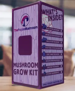 Mushroom Grow Kit by The Purple Mushroom