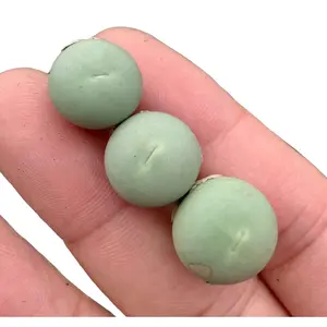 Egg-like plant | Conophytum caculus | 0.4"-1.1"