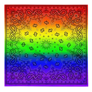 LGBTQ Pride Paisley Bandana Hanky Code - Rainbow