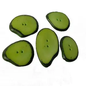 Large Tagua Slice Buttons -Vegetable Ivory Buttons-1.5"L-Fair Trade- Ecuador -1PC
