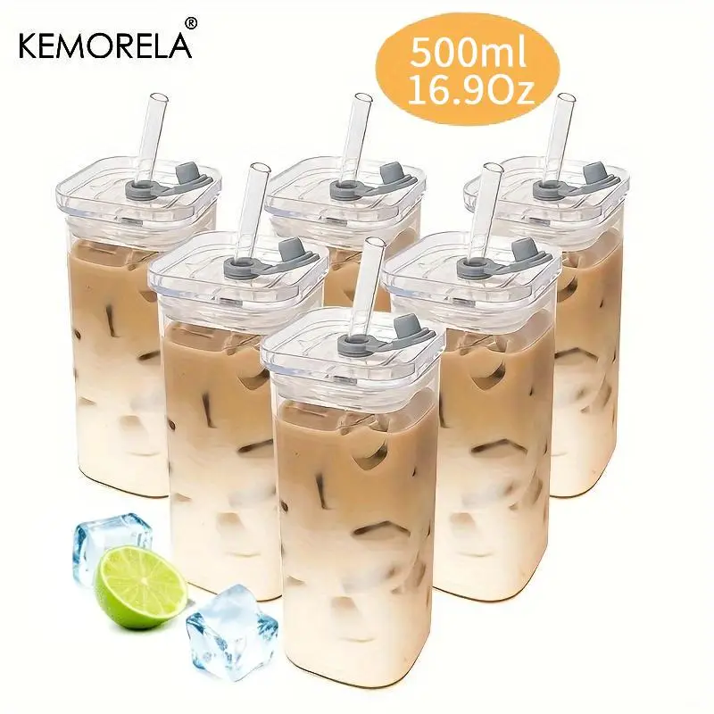 Portable Drinking Cup, 500ml/16.9oz Water Bottle with Straw & Lid, Shatterproof Drinking Cup for Home Office School Outdoor Camping