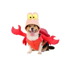 Disney Sebastian Pet Costume (© Disney)