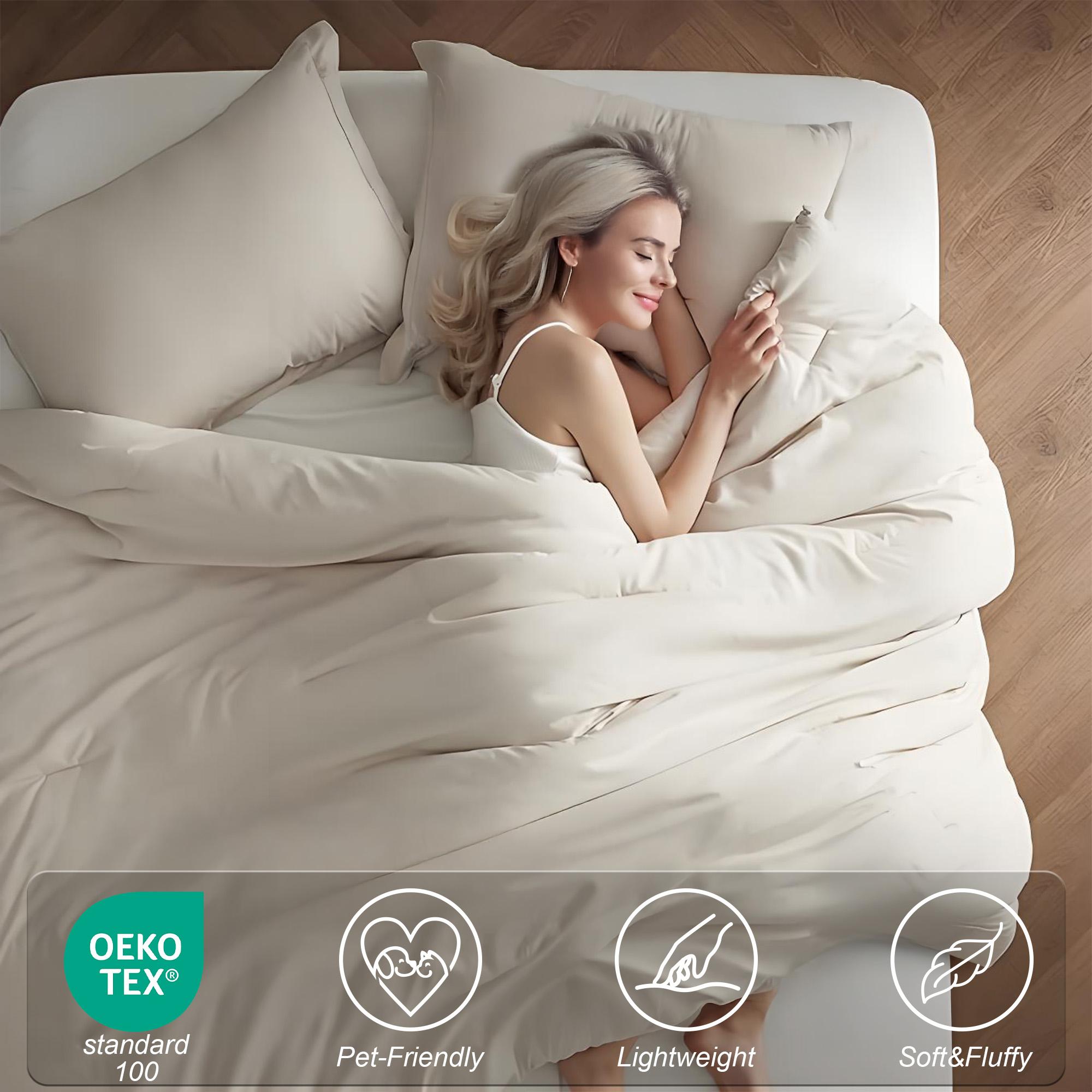 Raybee  MarshMellow  Soft Comforter Set Queen Size-3-PCS ,Bedding Set for All Seasons ,Soft Luxury Cationic Dyeing Comforter for All Season,Including 1 Comforter Set & 1 Or2 Pillows Shams