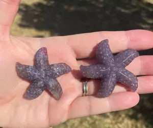 Lepidolite Crystal Starfish
