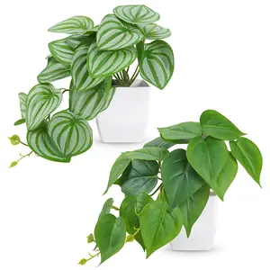 2 Packs Small Fake Plants Artificial Plants for Home Bedroom Aesthetic Living Room Bathroom Farmhouse Decor Indoor