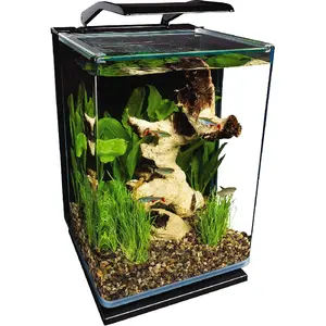 Portrait Glass LED Aquarium Kit, 5 Gallons, Hidden Filtration,Black