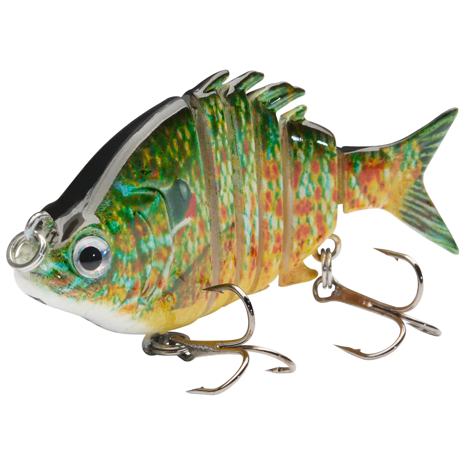Green/Orange Pumpkinseed
