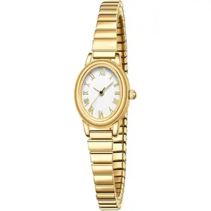Small  Watches for Women,Analog Womens Watch with Stainless Steel Expansion Band,Oval Case Roman Dial,Water Resistant