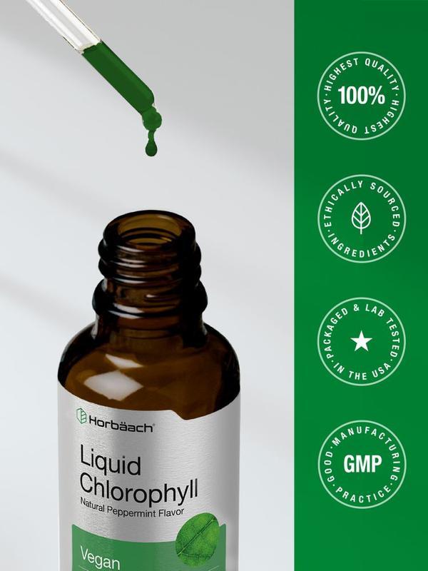 Horbäach Liquid Chlorophyll Drops | 2 oz | Vegan, Non-GMO, and Gluten Free Formula | Natural Peppermint Flavor