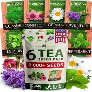 6 Medicinal and Tea Herb Seeds Collection - Heirloom and Non GMO Lavender, Chamomile, Mint, Lemon Balm, Peppermint, Echinacea for Planting Outdoors & Indoors